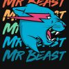 raf750x1000075t10101001c5ca27c6 24 - MrBeast Shop