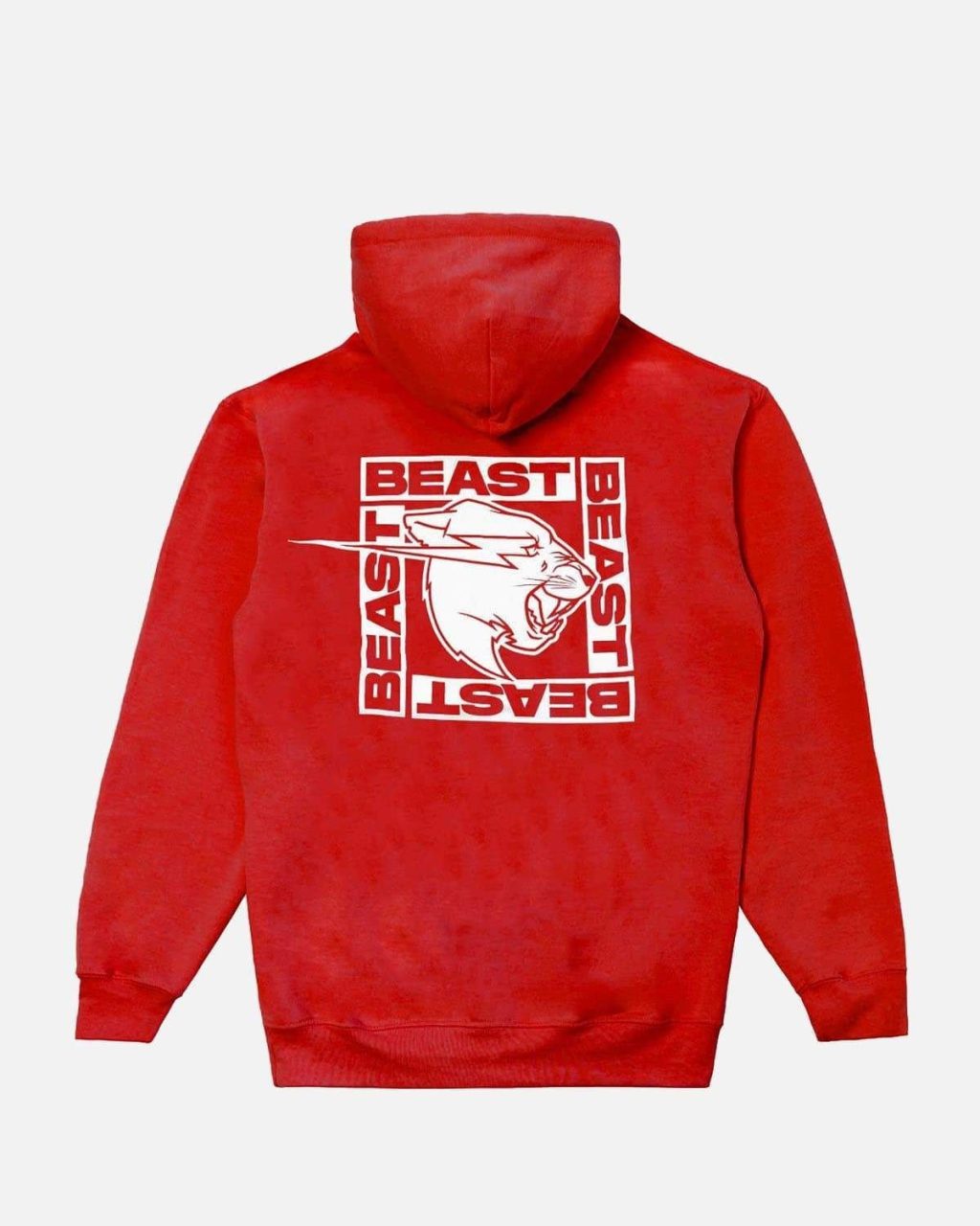 16388410700641f7c49a - MrBeast Shop